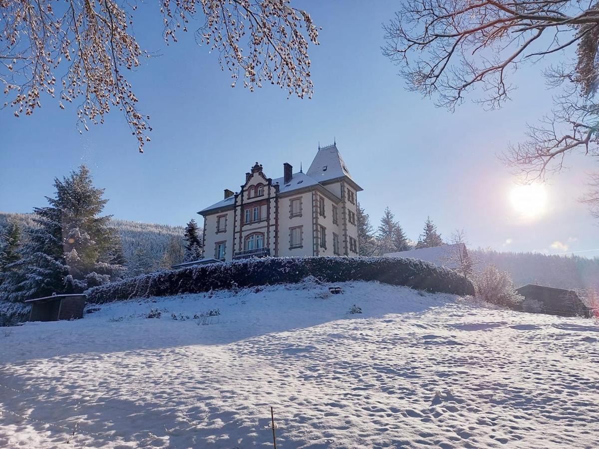Chateau Robert Raon-l'Etape Exterior foto
