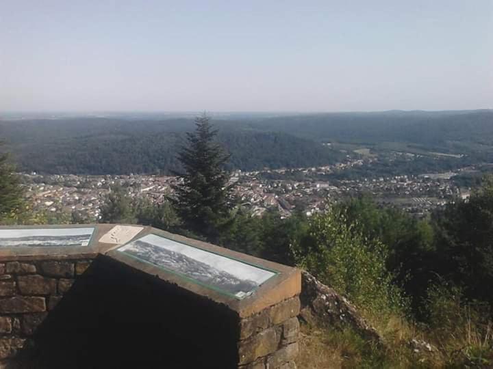 Chateau Robert Raon-l'Etape Exterior foto