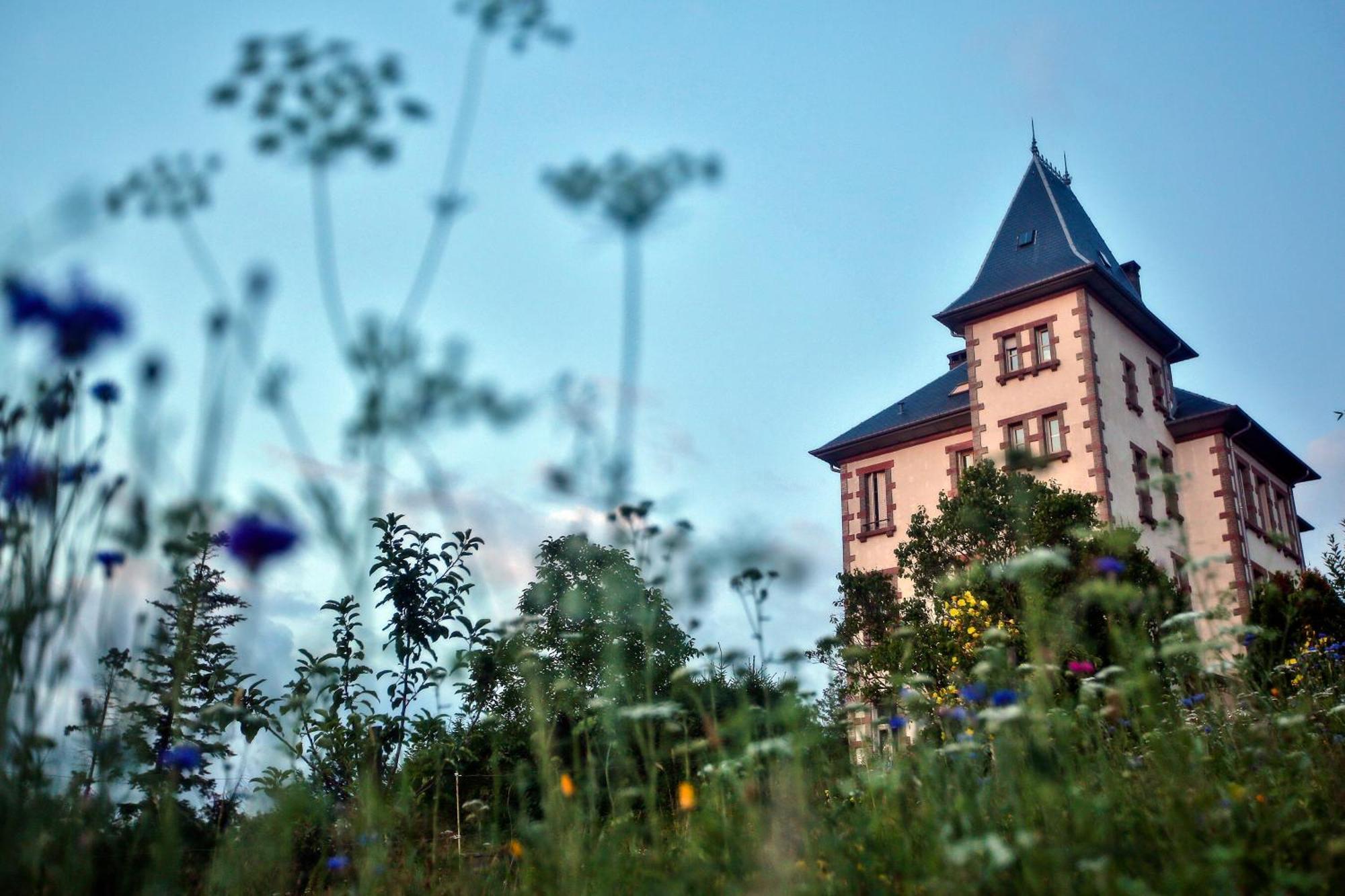Chateau Robert Raon-l'Etape Exterior foto